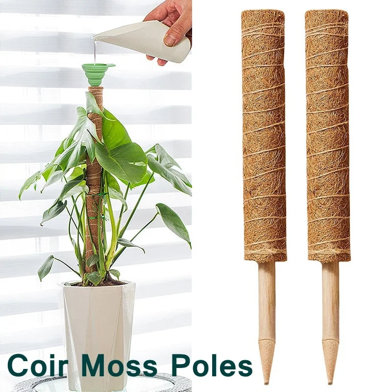 moss poles for climbing plants
