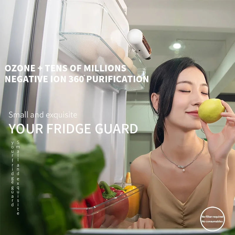 Ozone Refrigerator Deodorizer